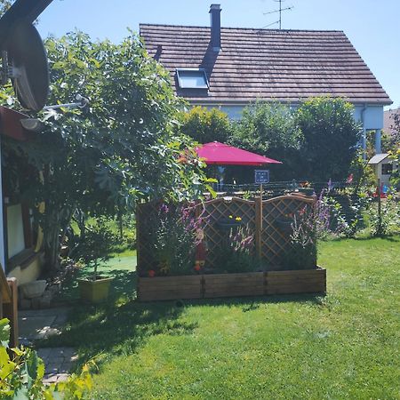 Gite Alsace Appenwihr Exteriér fotografie