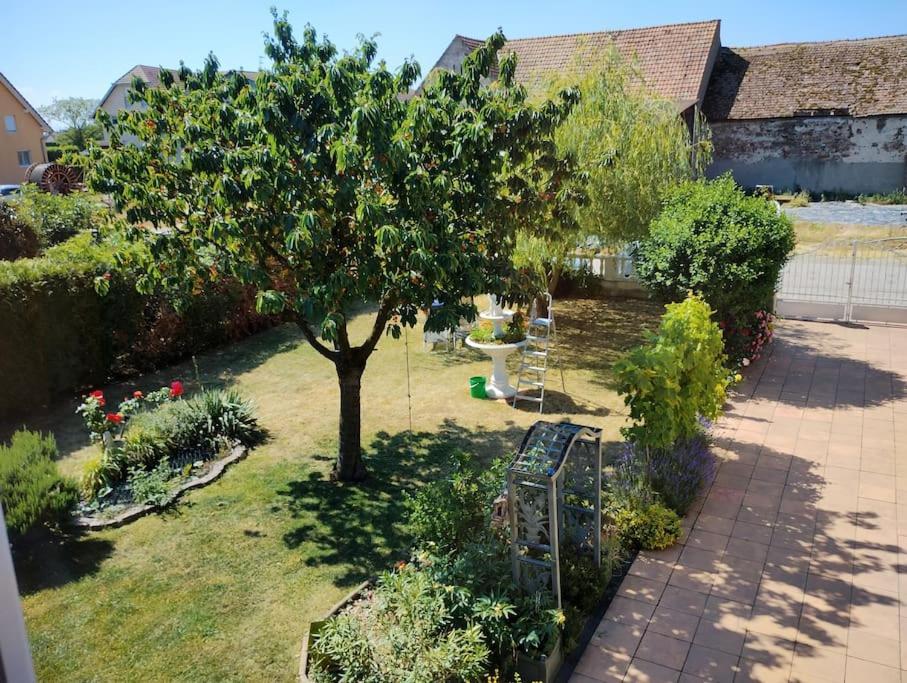 Gite Alsace Appenwihr Exteriér fotografie