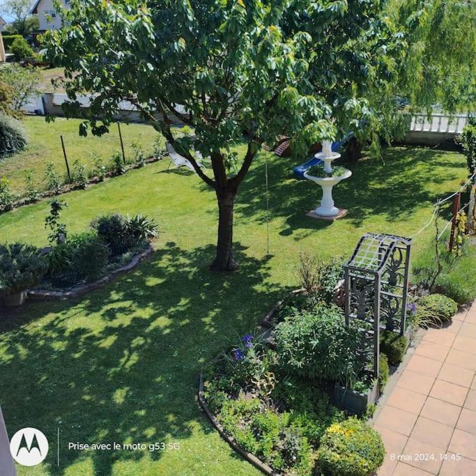 Gite Alsace Appenwihr Exteriér fotografie